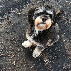 Meet your Posher, Lori s.